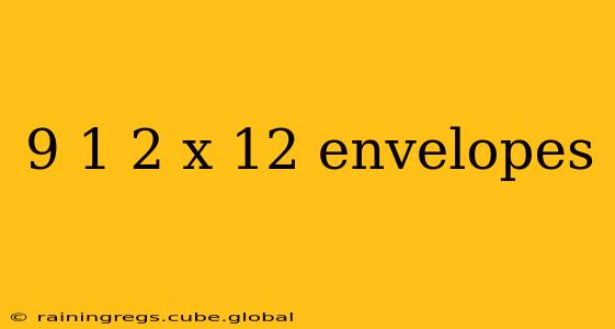 9 1 2 x 12 envelopes