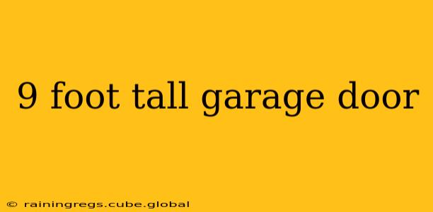 9 foot tall garage door