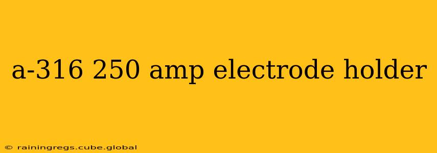 a-316 250 amp electrode holder