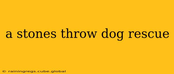 a stones throw dog rescue
