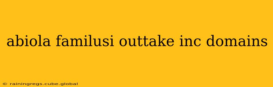 abiola familusi outtake inc domains