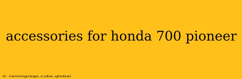 accessories for honda 700 pioneer