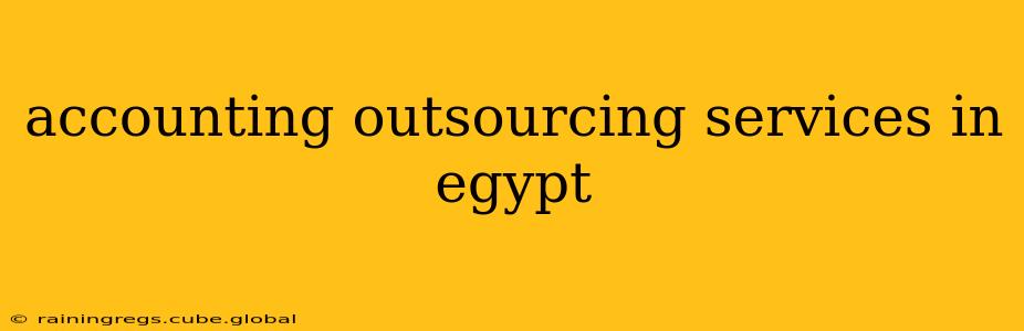 accounting outsourcing services in egypt