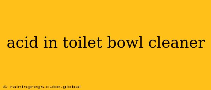 acid in toilet bowl cleaner