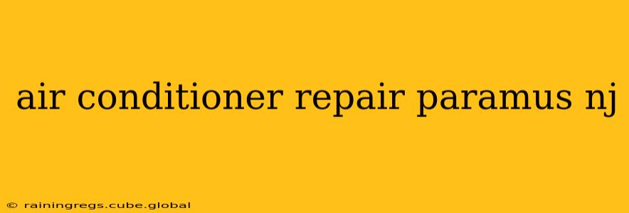 air conditioner repair paramus nj