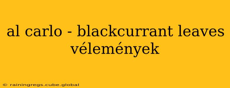al carlo - blackcurrant leaves vélemények