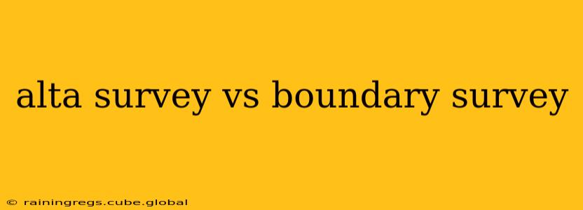 alta survey vs boundary survey