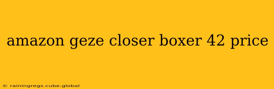 amazon geze closer boxer 42 price