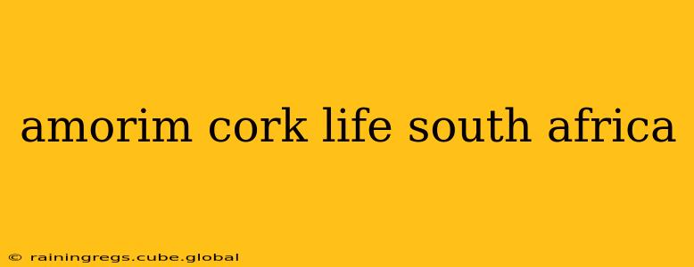 amorim cork life south africa