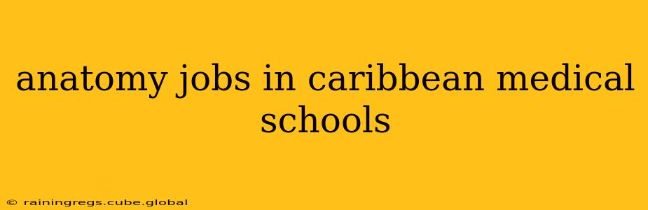 anatomy jobs in caribbean medical schools
