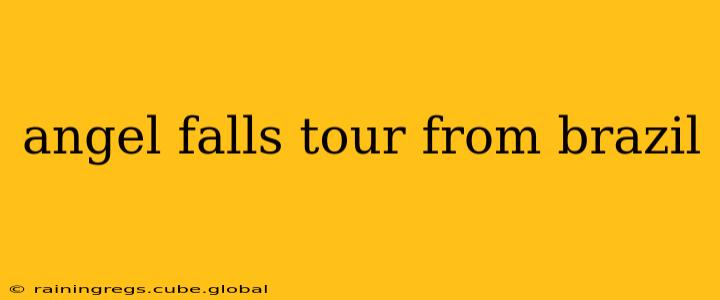 angel falls tour from brazil