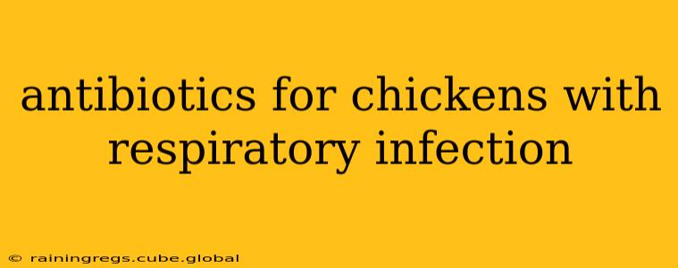 antibiotics for chickens with respiratory infection