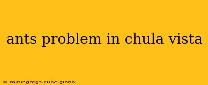 ants problem in chula vista