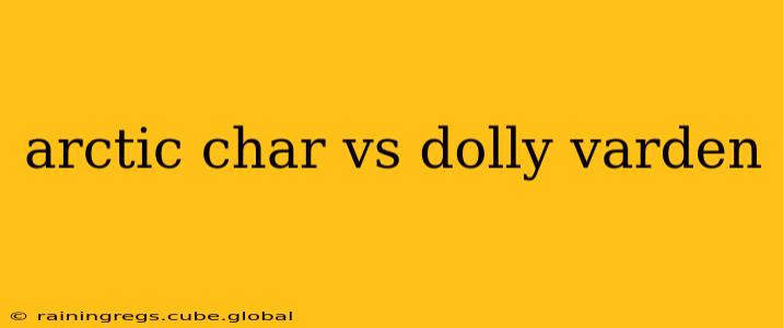 arctic char vs dolly varden