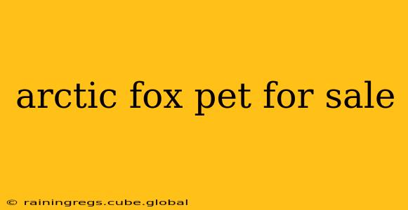 arctic fox pet for sale