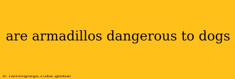 are armadillos dangerous to dogs