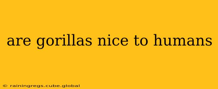 are gorillas nice to humans