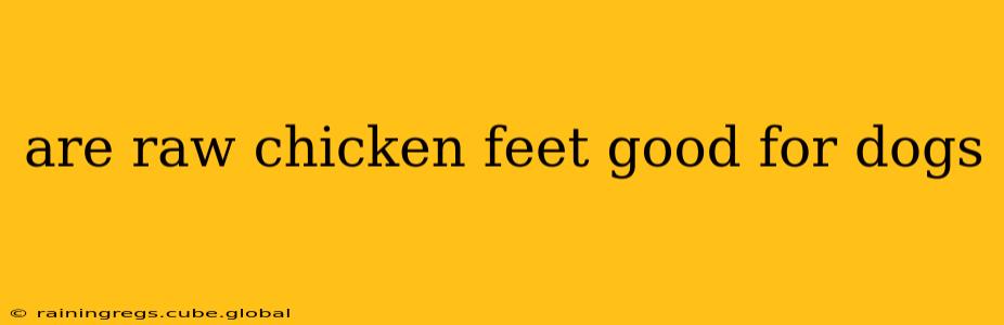 are raw chicken feet good for dogs