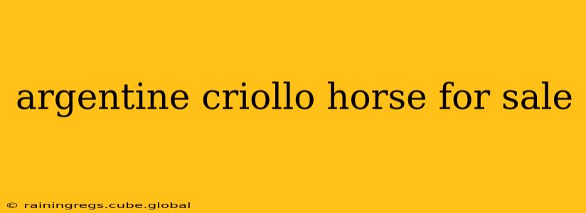 argentine criollo horse for sale