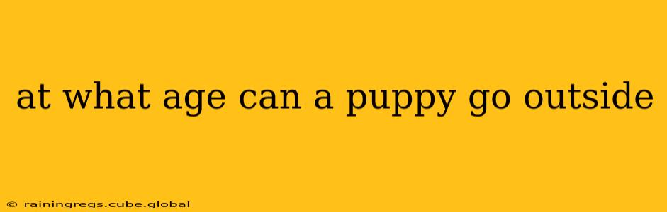 at what age can a puppy go outside