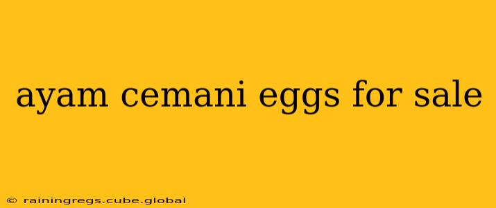 ayam cemani eggs for sale