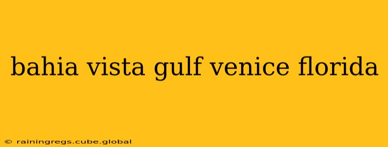 bahia vista gulf venice florida