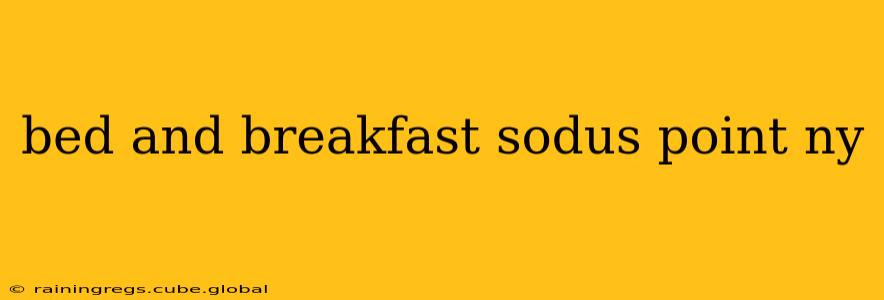 bed and breakfast sodus point ny
