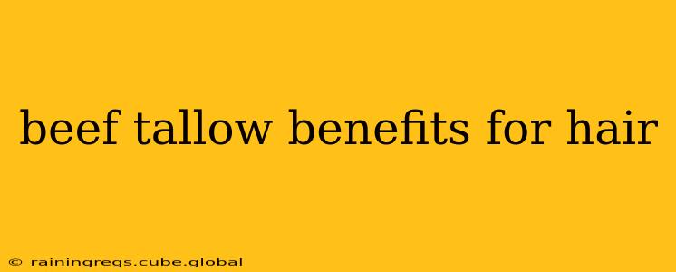 beef tallow benefits for hair
