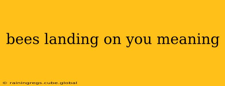 bees landing on you meaning