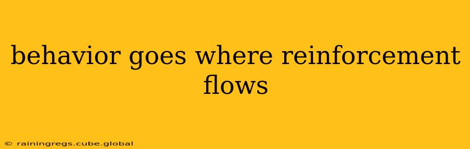 behavior goes where reinforcement flows