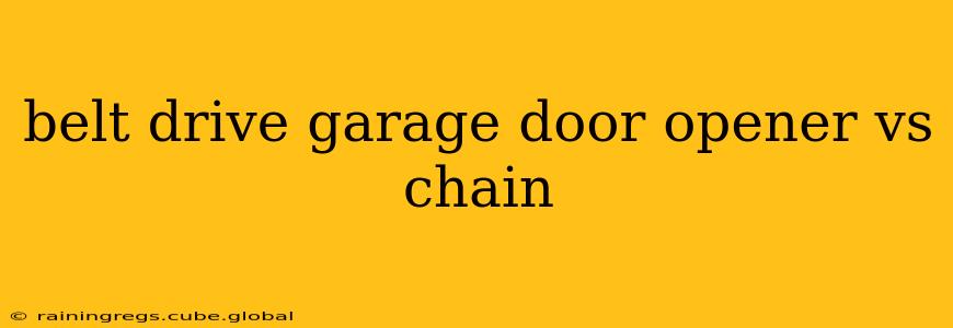 belt drive garage door opener vs chain