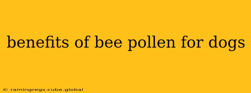 benefits of bee pollen for dogs