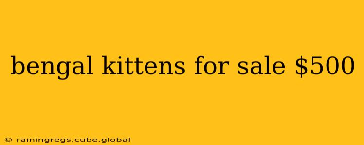 bengal kittens for sale $500