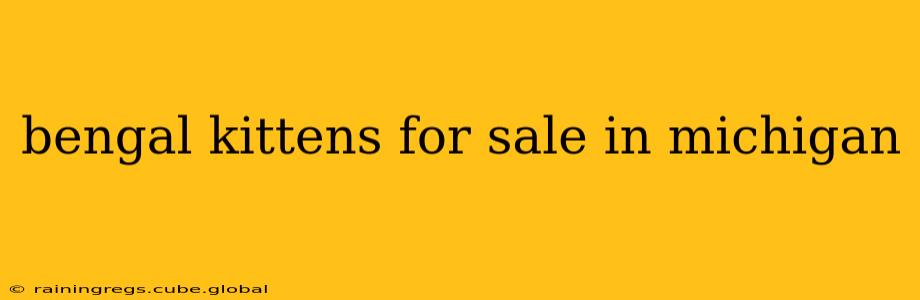 bengal kittens for sale in michigan