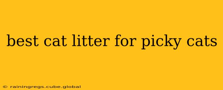 best cat litter for picky cats