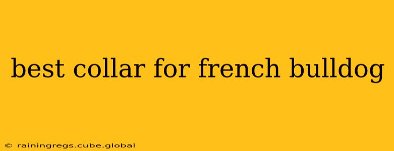 best collar for french bulldog