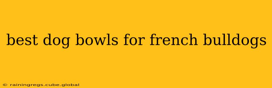 best dog bowls for french bulldogs