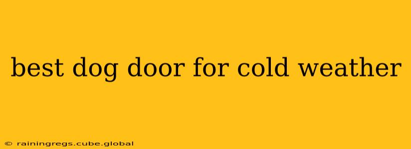best dog door for cold weather