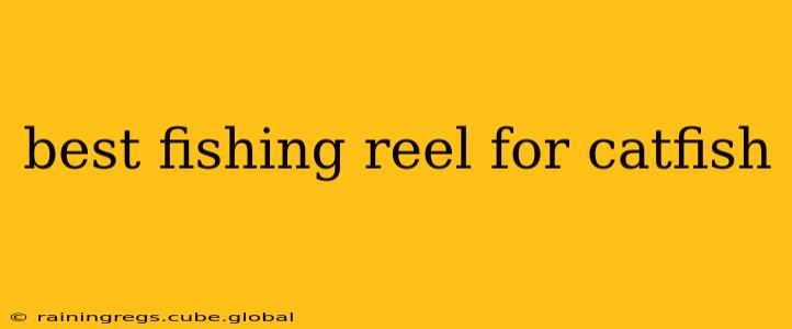best fishing reel for catfish