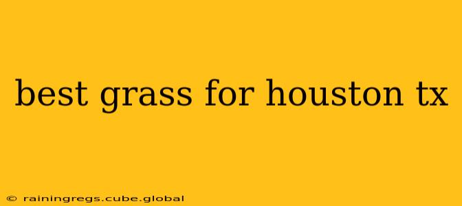 best grass for houston tx