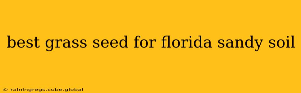best grass seed for florida sandy soil