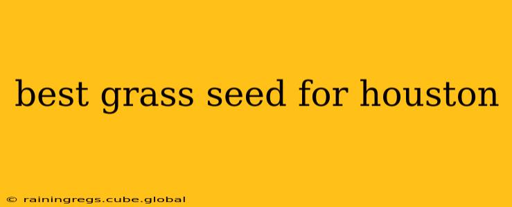 best grass seed for houston