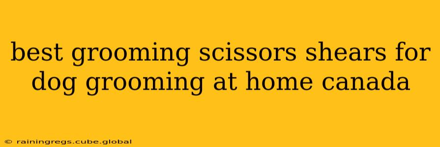 best grooming scissors shears for dog grooming at home canada