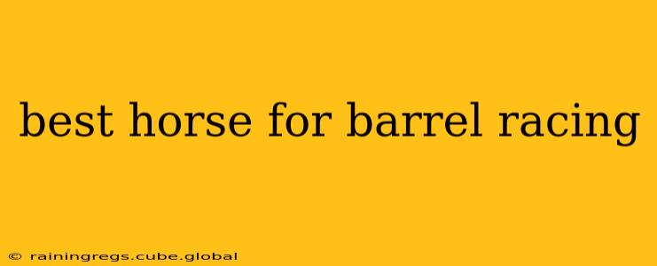 best horse for barrel racing