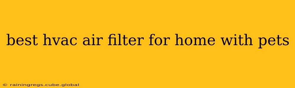 best hvac air filter for home with pets