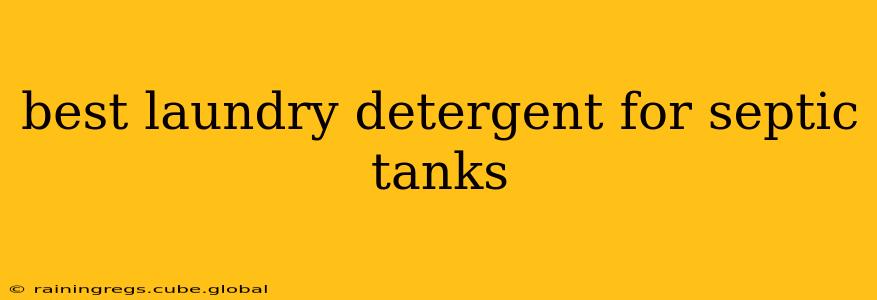 best laundry detergent for septic tanks