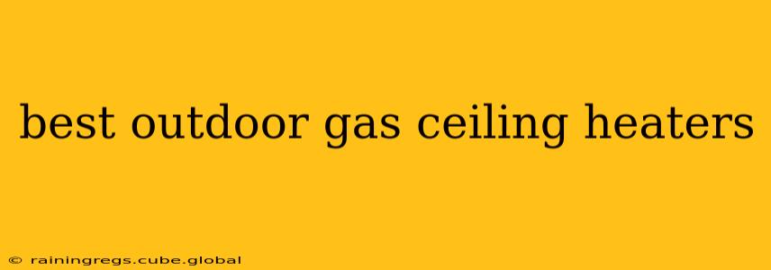 best outdoor gas ceiling heaters