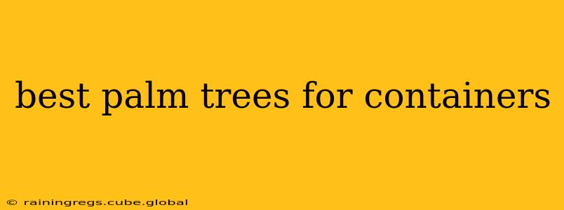 best palm trees for containers