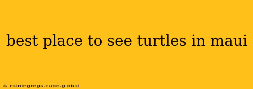 best place to see turtles in maui
