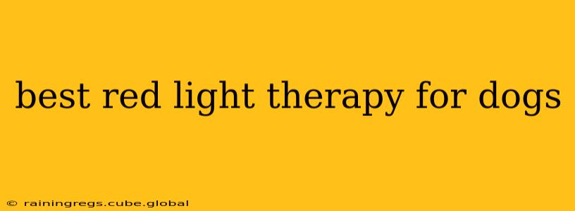 best red light therapy for dogs